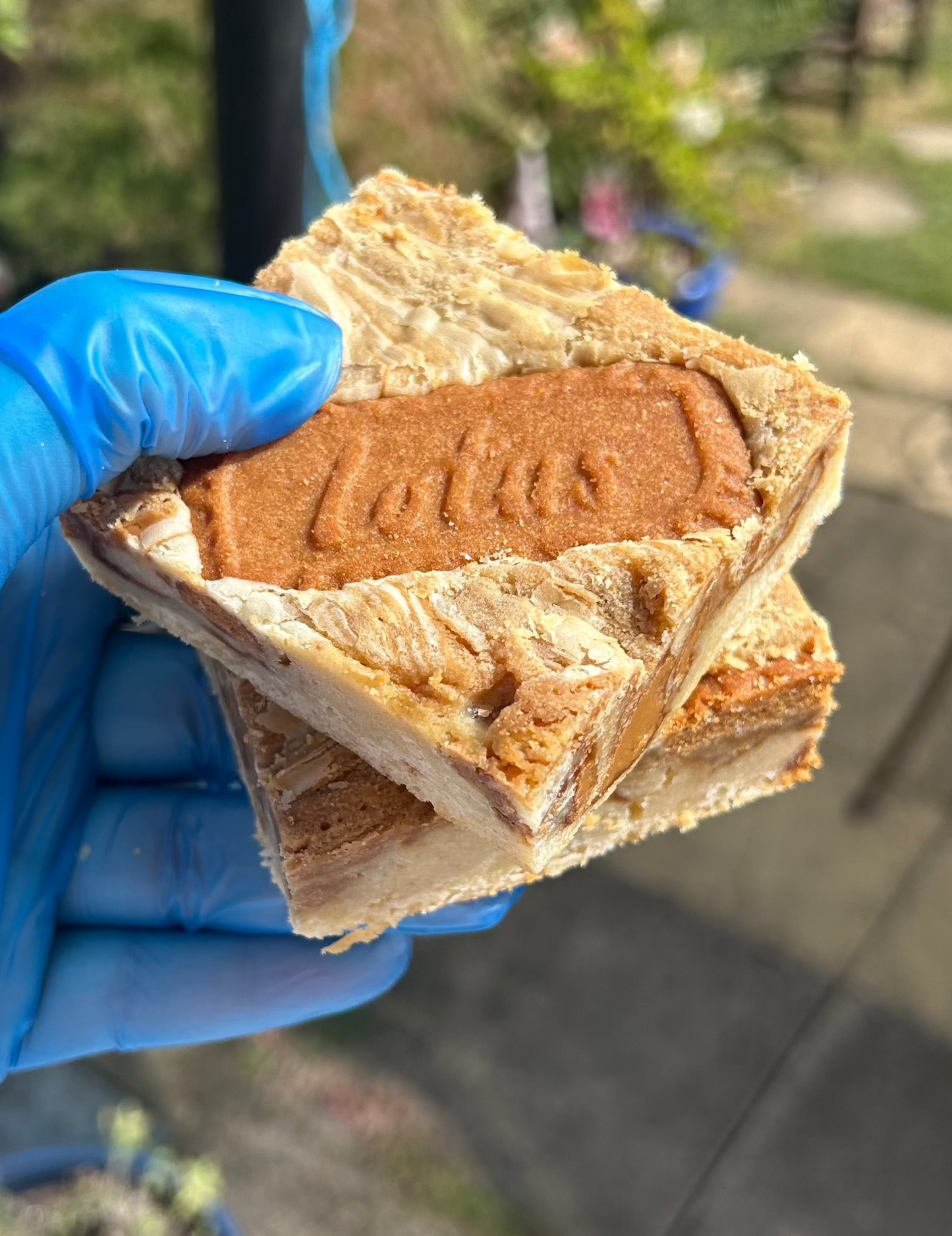 Biscoff Blondies